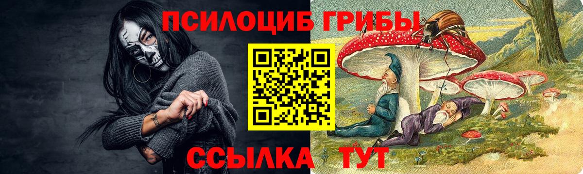 Псилоцибиновые грибы мицелий Сегежа